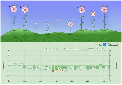 Scholar Plot: Design and Evaluation of an Information Interface for Faculty Research Performance